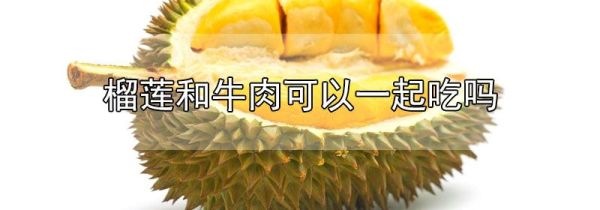 榴莲和牛肉可以一起吃吗