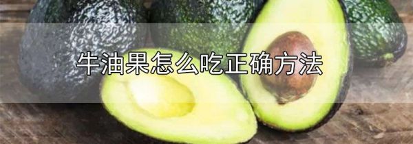 牛油果怎么吃正确方法