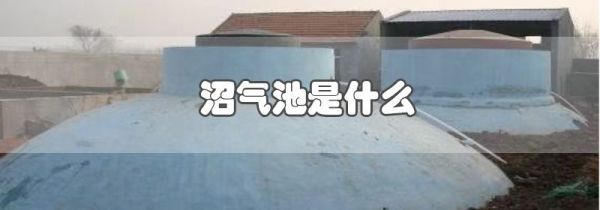 沼气池是什么