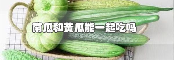 南瓜和黄瓜能一起吃吗