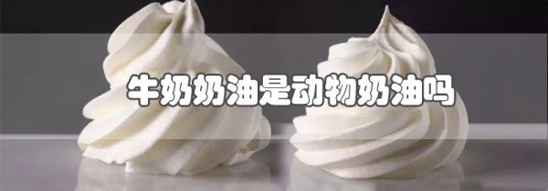 牛奶奶油是动物奶油吗