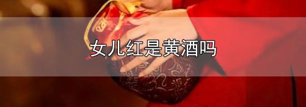 女儿红是黄酒吗