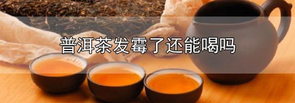 普洱茶发霉了还能喝吗
