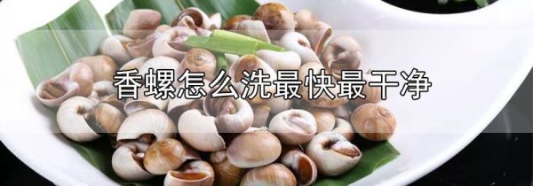 香螺怎么洗最快最干净
