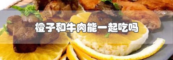 橙子和牛肉能一起吃吗