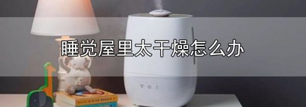 睡觉屋里太干燥怎么办