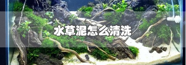 水草泥怎么清洗