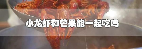 小龙虾和芒果能一起吃吗
