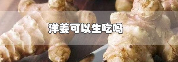 洋姜可以生吃吗