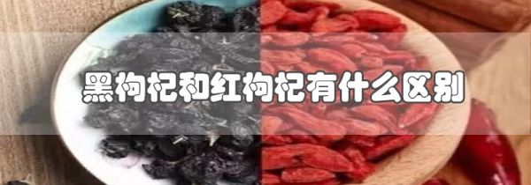 黑枸杞和红枸杞有什么区别