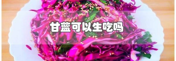 甘蓝可以生吃吗