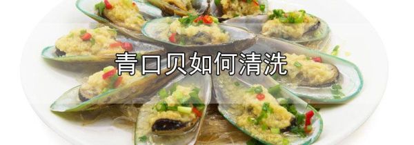 青口贝如何清洗