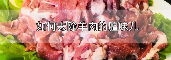 如何去除羊肉的膻味儿