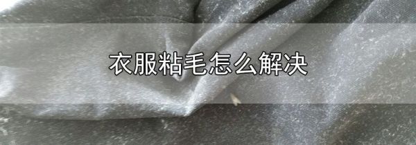 衣服粘毛怎么解决