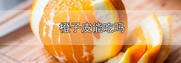 橙子皮能吃吗