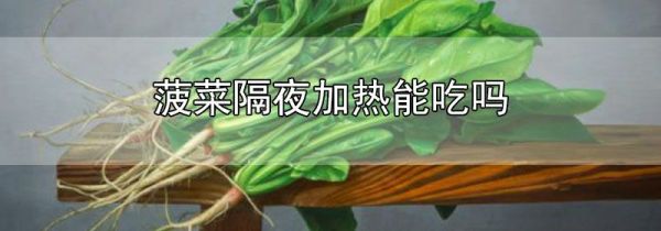 菠菜隔夜加热能吃吗