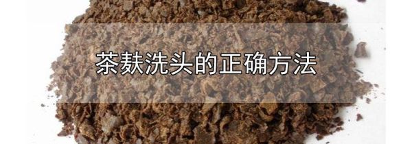 茶麸洗头的正确方法