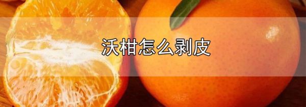 沃柑怎么剥皮