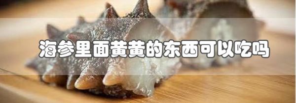 海参里面黄黄的东西可以吃吗