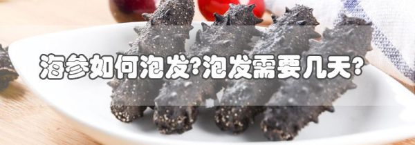 海参如何泡发?泡发需要几天?