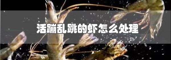 活蹦乱跳的虾怎么处理