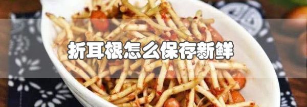 折耳根怎么保存新鲜
