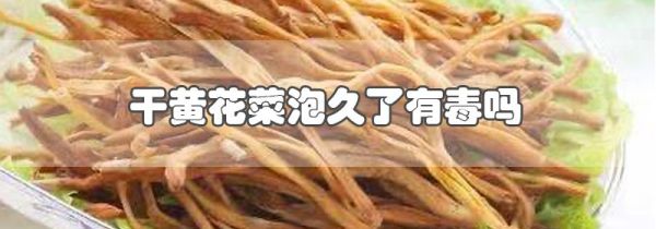 干黄花菜泡久了有毒吗