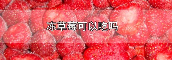 冻草莓可以吃吗