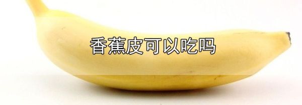 香蕉皮可以吃吗