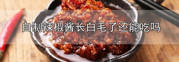 自制辣椒酱长白毛了还能吃吗