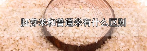 胚芽米和普通米有什么区别