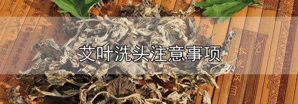 艾叶洗头注意事项