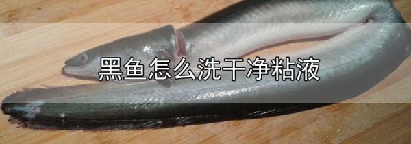 黑鱼怎么洗干净粘液