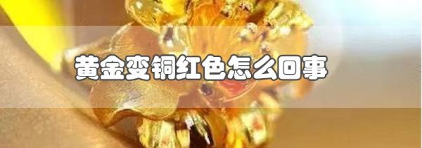 黄金变铜红色怎么回事