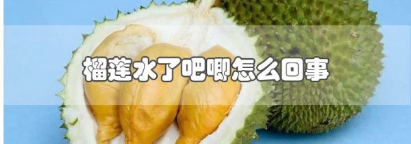 榴莲水了吧唧怎么回事