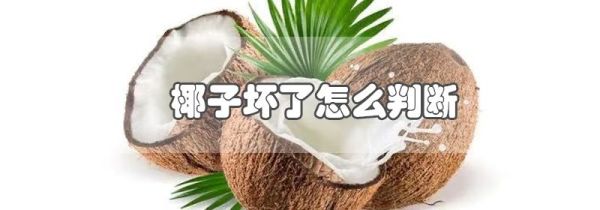 椰子坏了怎么判断