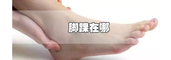 脚踝在哪