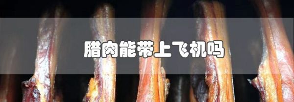 腊肉能带上飞机吗