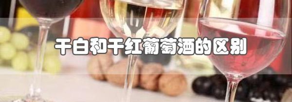 干白和干红葡萄酒的区别