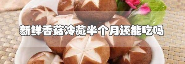 新鲜香菇冷藏半个月还能吃吗