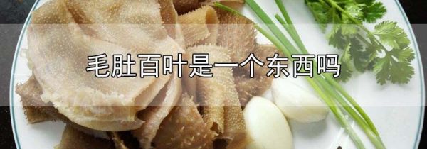 毛肚百叶是一个东西吗