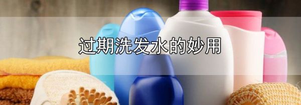 过期洗发水的妙用