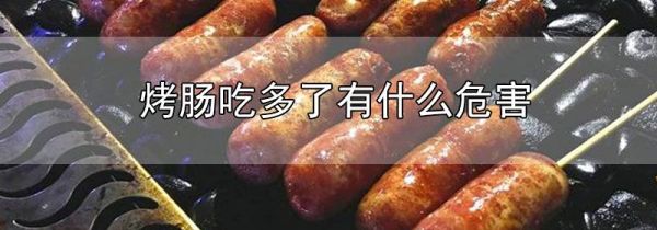 烤肠吃多了有什么危害