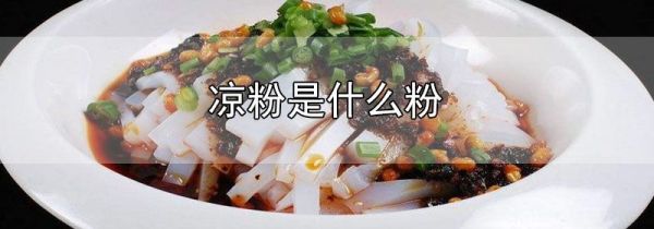 凉粉是什么粉