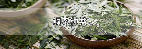 绿茶种类