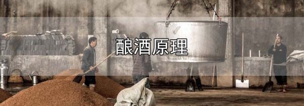 酿酒原理