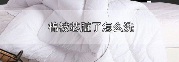 棉被芯脏了怎么洗