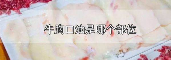 牛胸口油是哪个部位