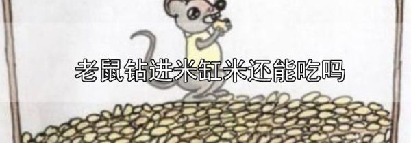 老鼠钻进米缸米还能吃吗
