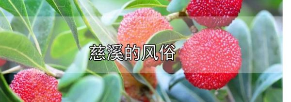 慈溪的风俗